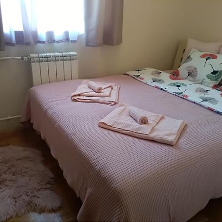 Apartman Nina Vojvode Stepe Vozdovac Vozdivac Exterior foto